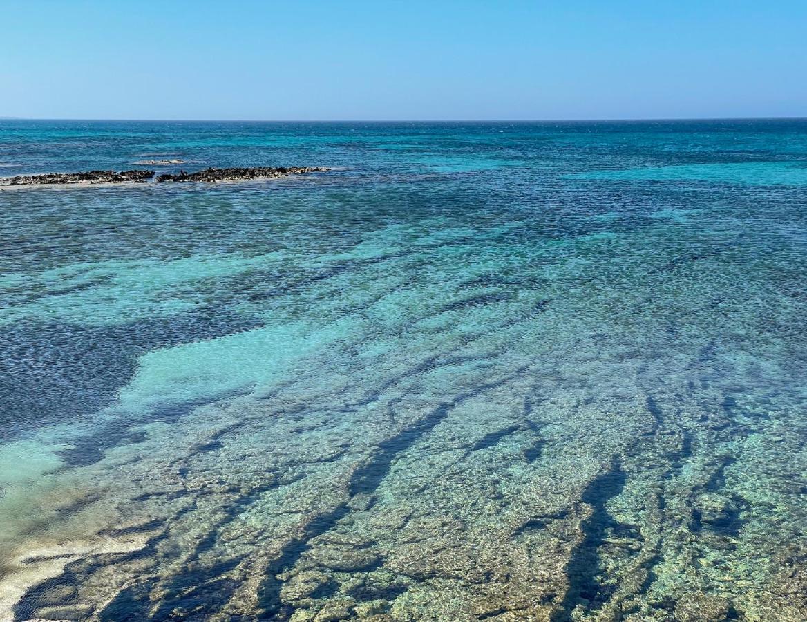 Masseria Bosco Mazza ميليندونيو المظهر الخارجي الصورة