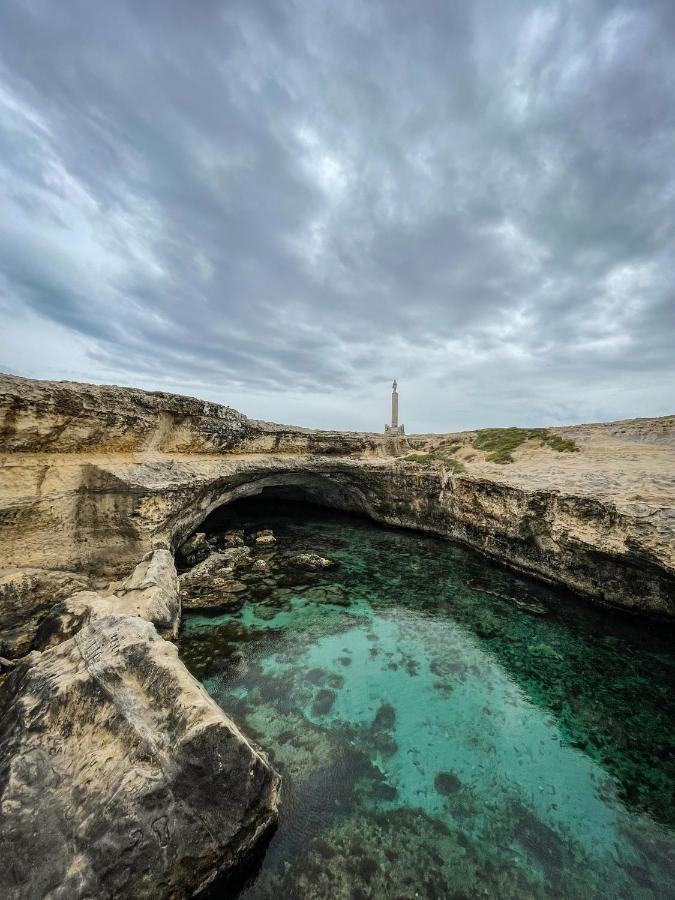 Masseria Bosco Mazza ميليندونيو المظهر الخارجي الصورة