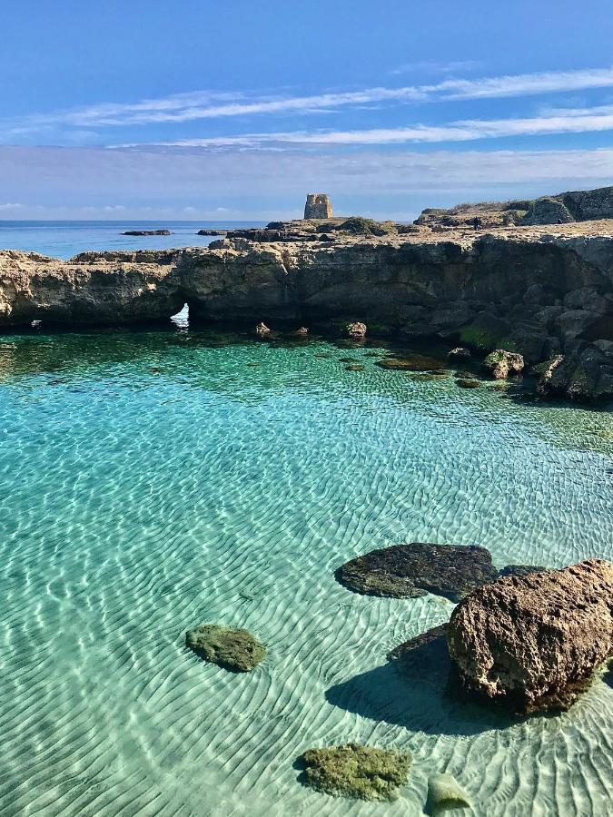 Masseria Bosco Mazza ميليندونيو المظهر الخارجي الصورة